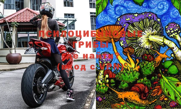 хмурый Нефтекумск