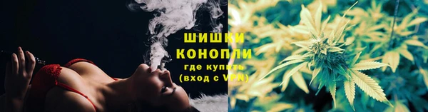 хмурый Нефтекумск