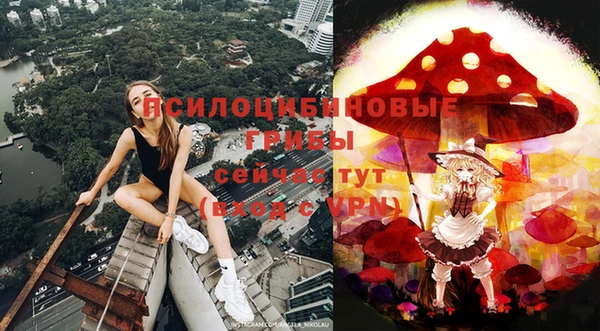 хмурый Нефтекумск