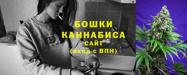 хмурый Нефтекумск