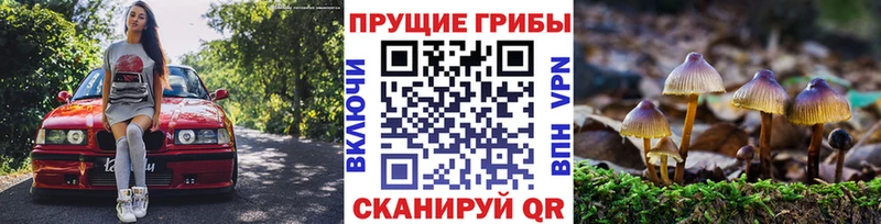 Псилоцибиновые грибы прущие грибы Сольвычегодск