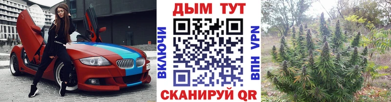 Бошки марихуана семена  Купить  Сольвычегодск 